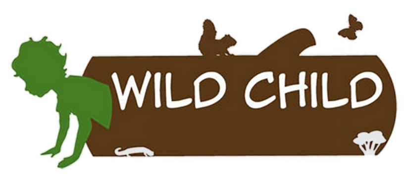 Wild child Logo image of a child drawing on a large paper on the forst floor covered in leaves